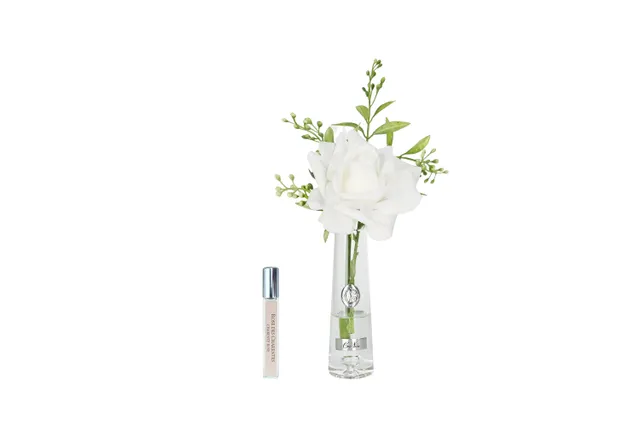Côte Noire SRS01 rose blanche Summer Roses vase 27 cm