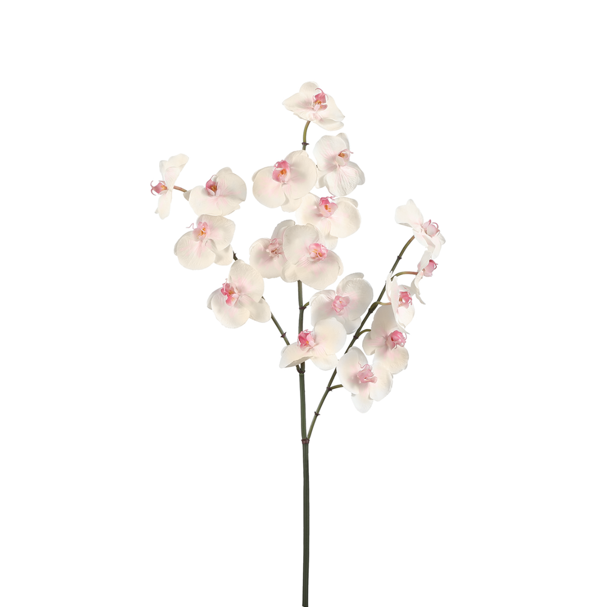 Sia Home Orchidée Phalaenopsis tige artificielle blanc 66 cm