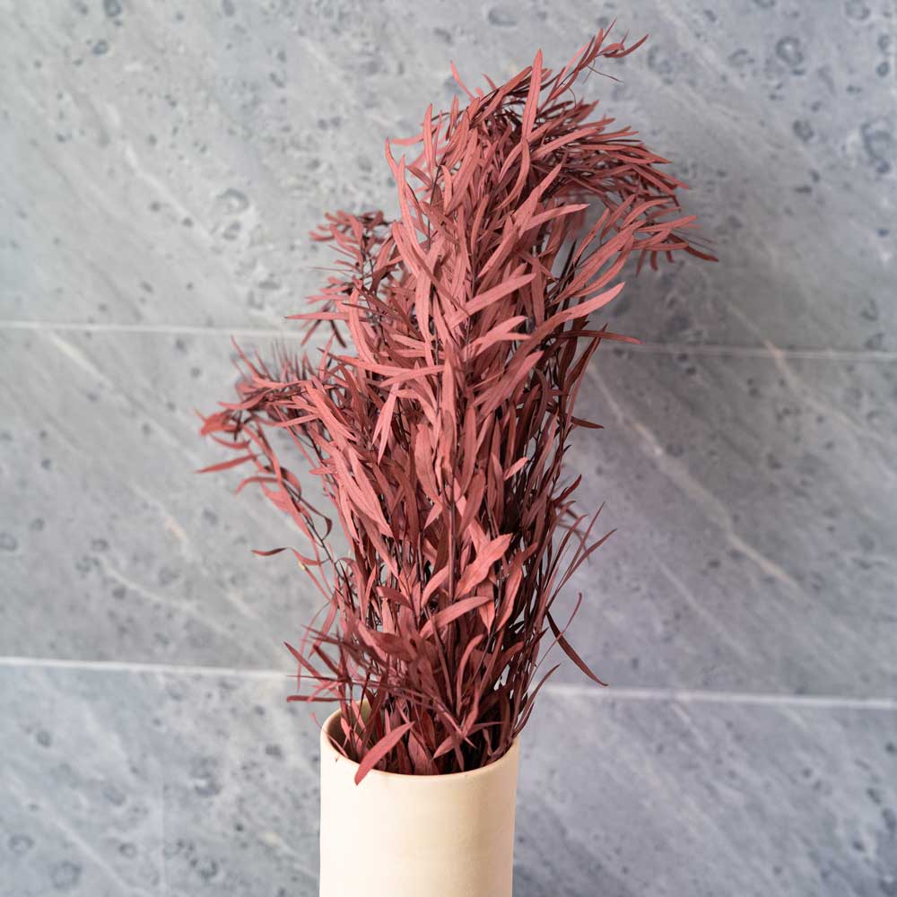 Flowrette Fleurs séchées Eucalyptus Nicoli Rouge botte x1 rouge