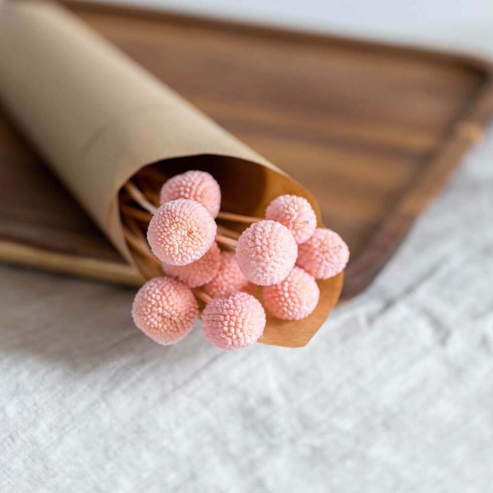 Flowrette Craspedia botte séchée rose x1