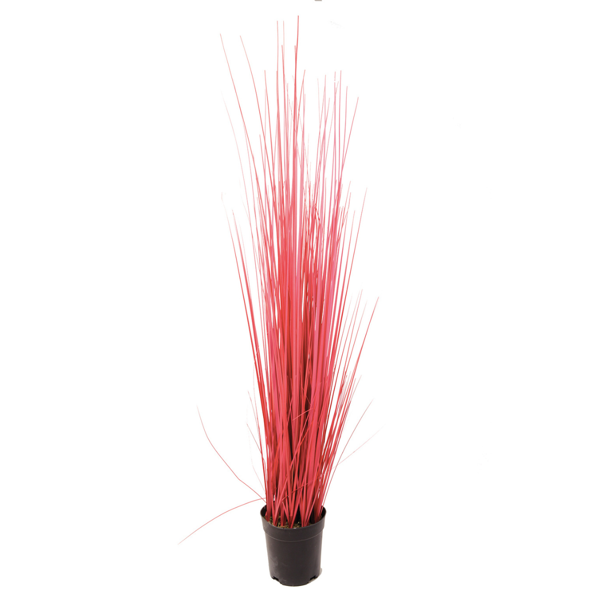 Sia Home Herbe en Pot 100 cm rouge plastique
