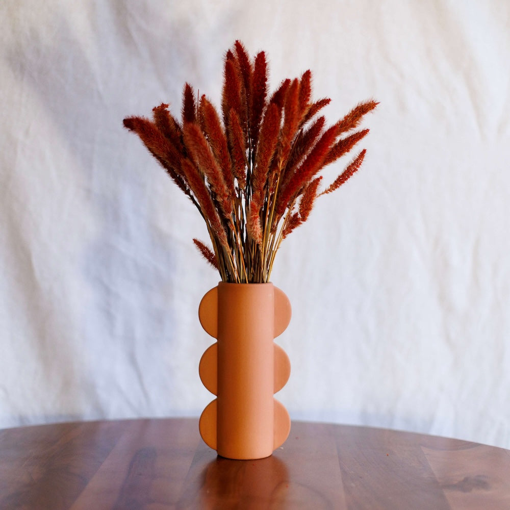 Flowrette Fleurs séchées Sétaire Rouille terracotta