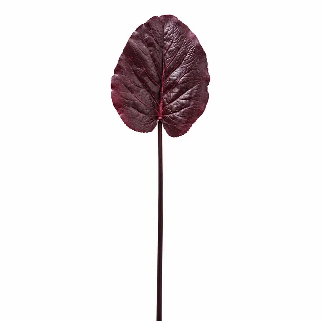 Sia Home Galax feuille artificielle bordeaux 85 cm