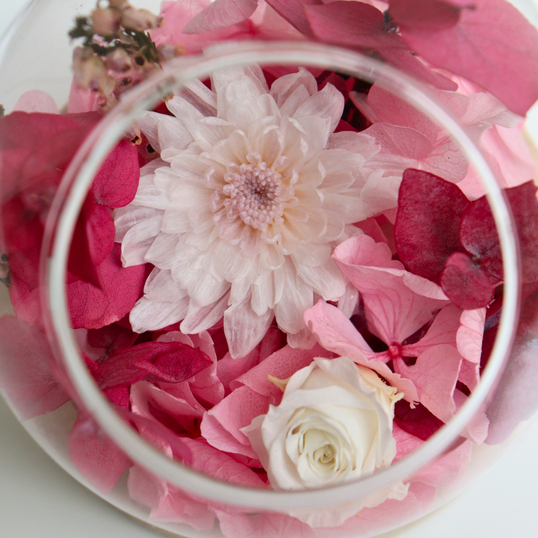 Ateliers Ouchamp Bulles Boulevard Bessières bulle S 10 cm dahlia