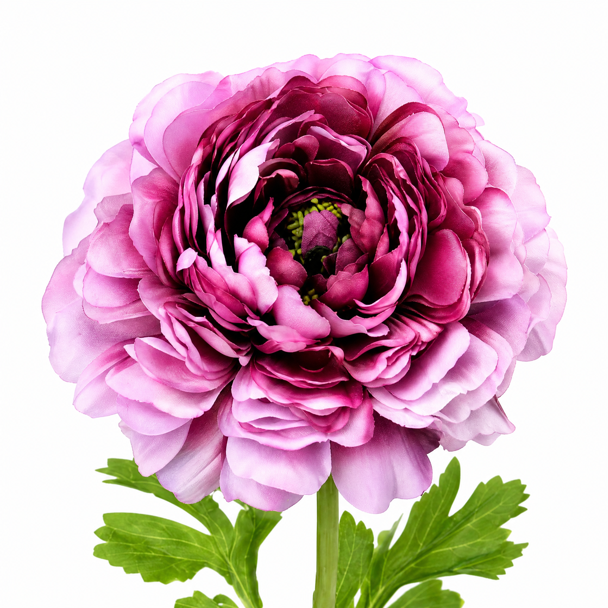 Sia Home Renoncule Nora tige artificielle rose pâle