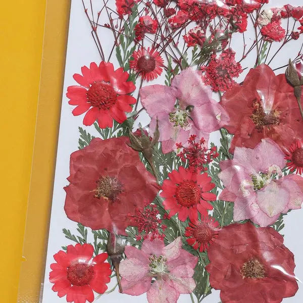 Flowrette Pochette fleurs pressées rouges loisir créatif