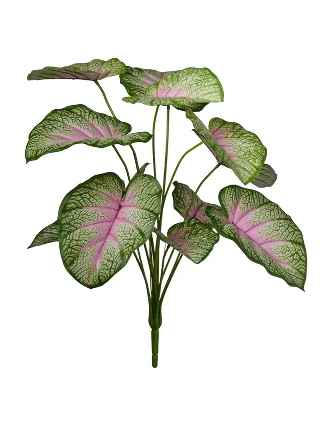 Feuillazur Rungis Branche de caladium feuillage vert rose 60 cm