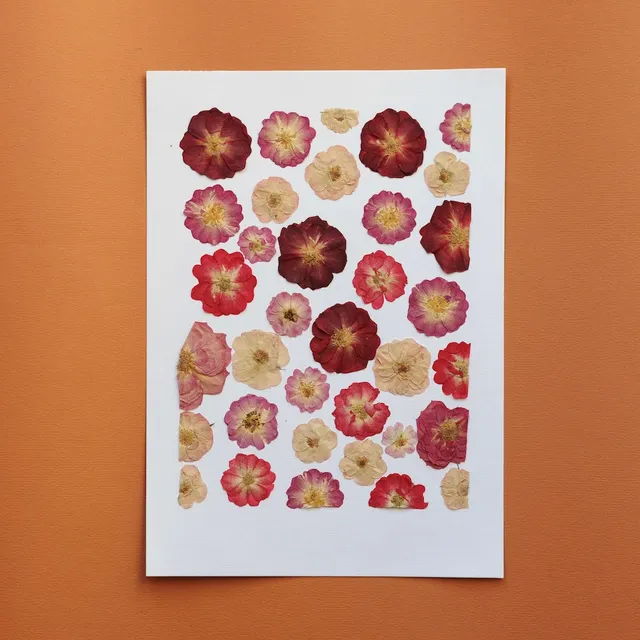 Flowrette Jardin des amoureux herbier fleurs A4