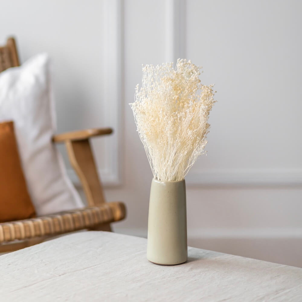 Flowrette Broom Bloom botte fleurs séchées blanc x1 vaporeux