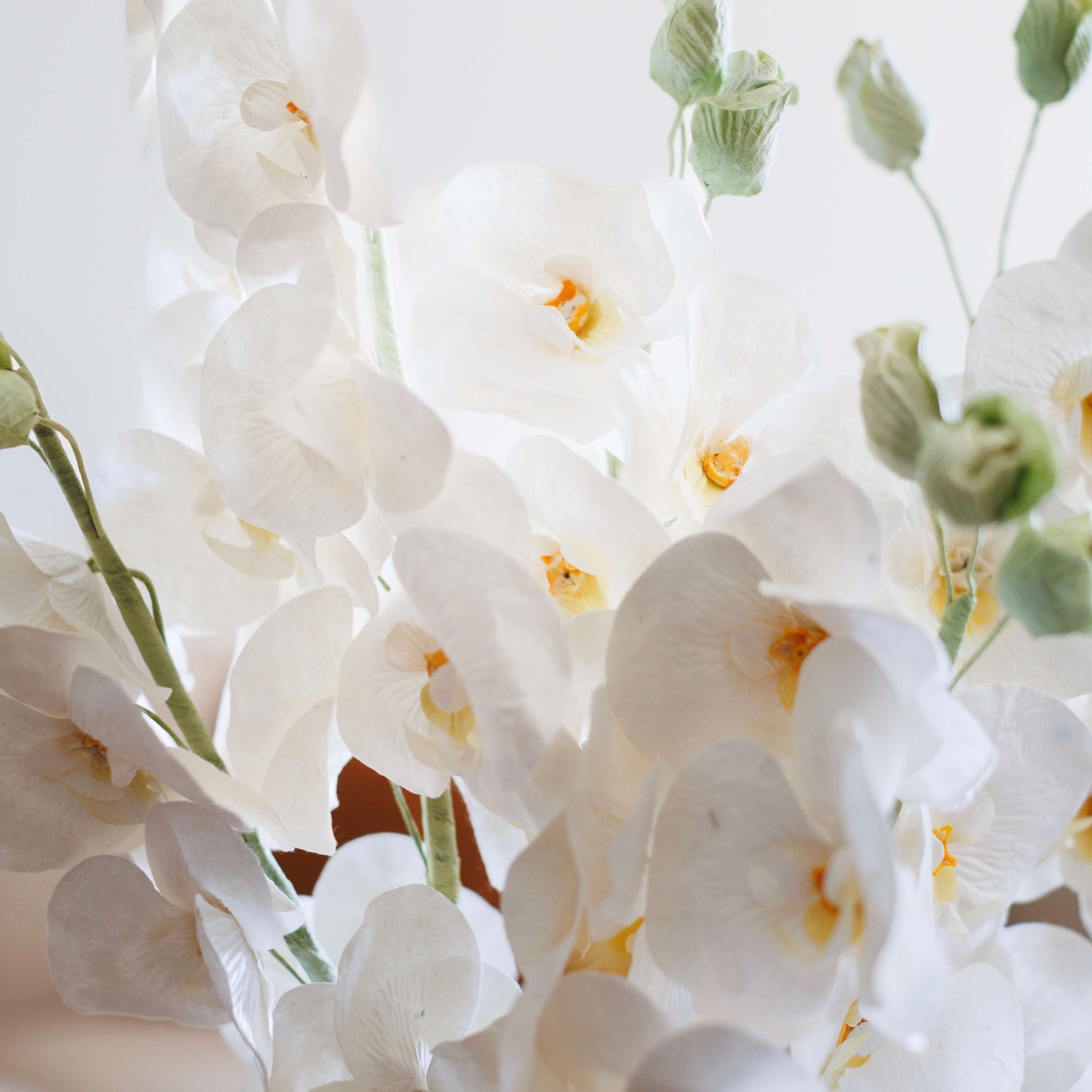 Flowrette Orchidée Papillon Blanc Fleur en Papier x1 Blanche