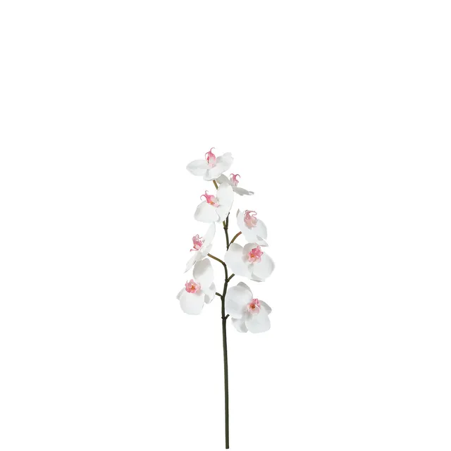 Sia Home Orchidée Phalaenopsis tige artificielle 50 cm blanc