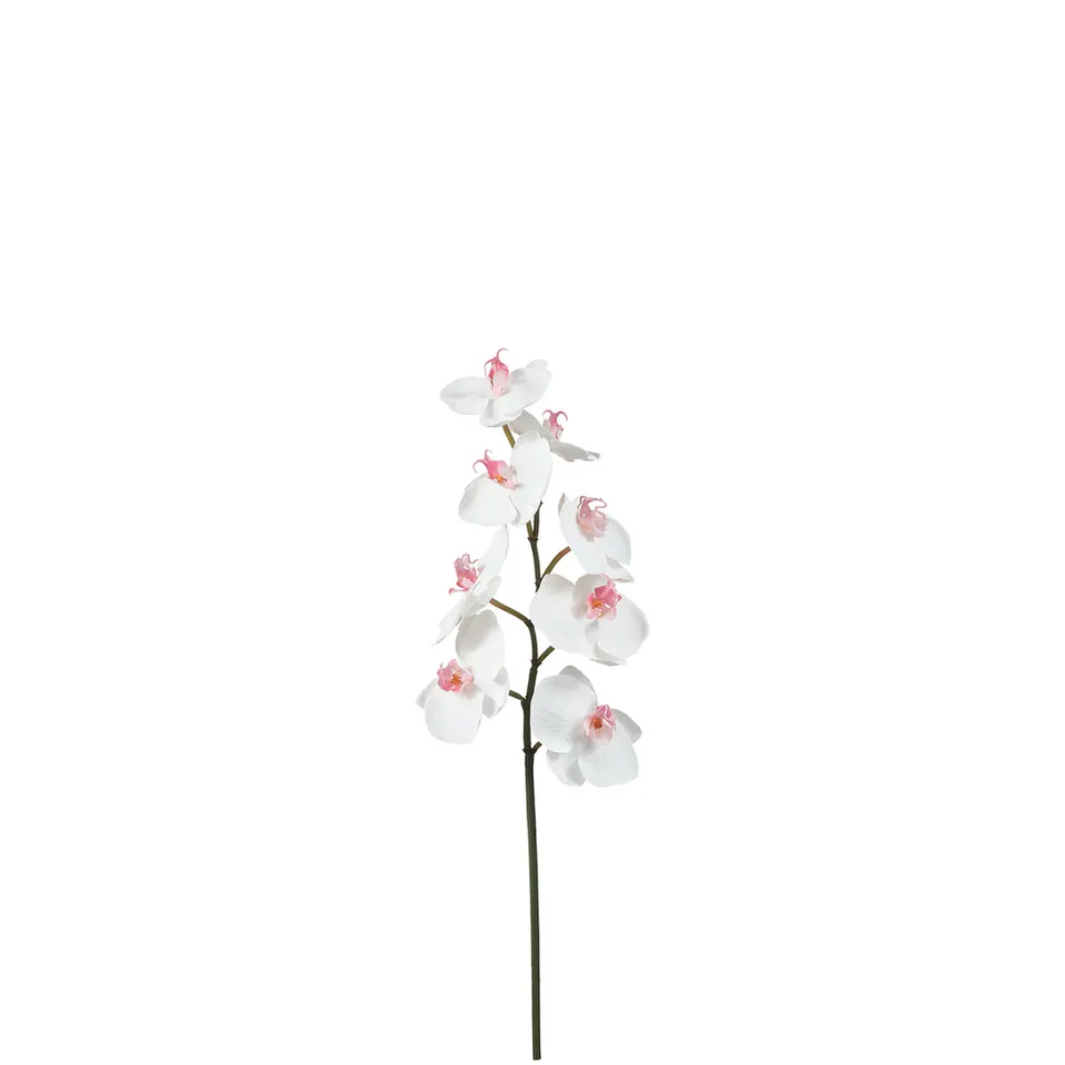 Sia Home Orchidée Phalaenopsis tige artificielle 50 cm blanc