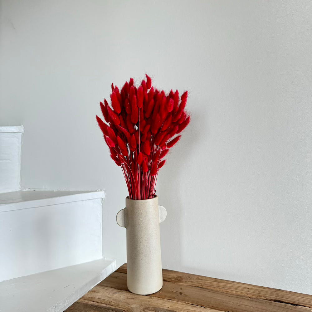 Flowrette Botte Lagurus Rouge fleurs séchées rouge x1