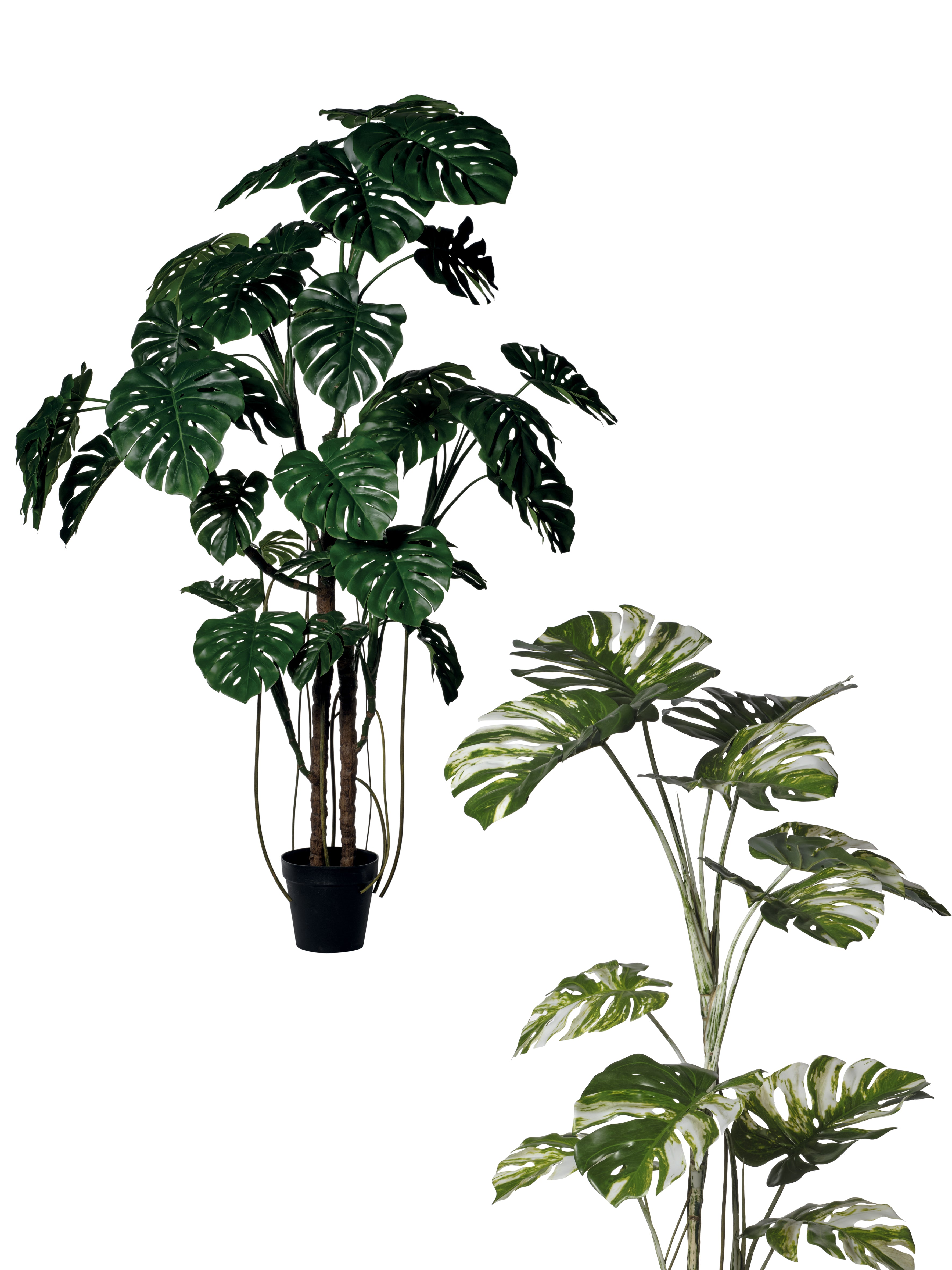 Feuillazur Rungis Monstera plante artificielle vert 180cm réaliste
