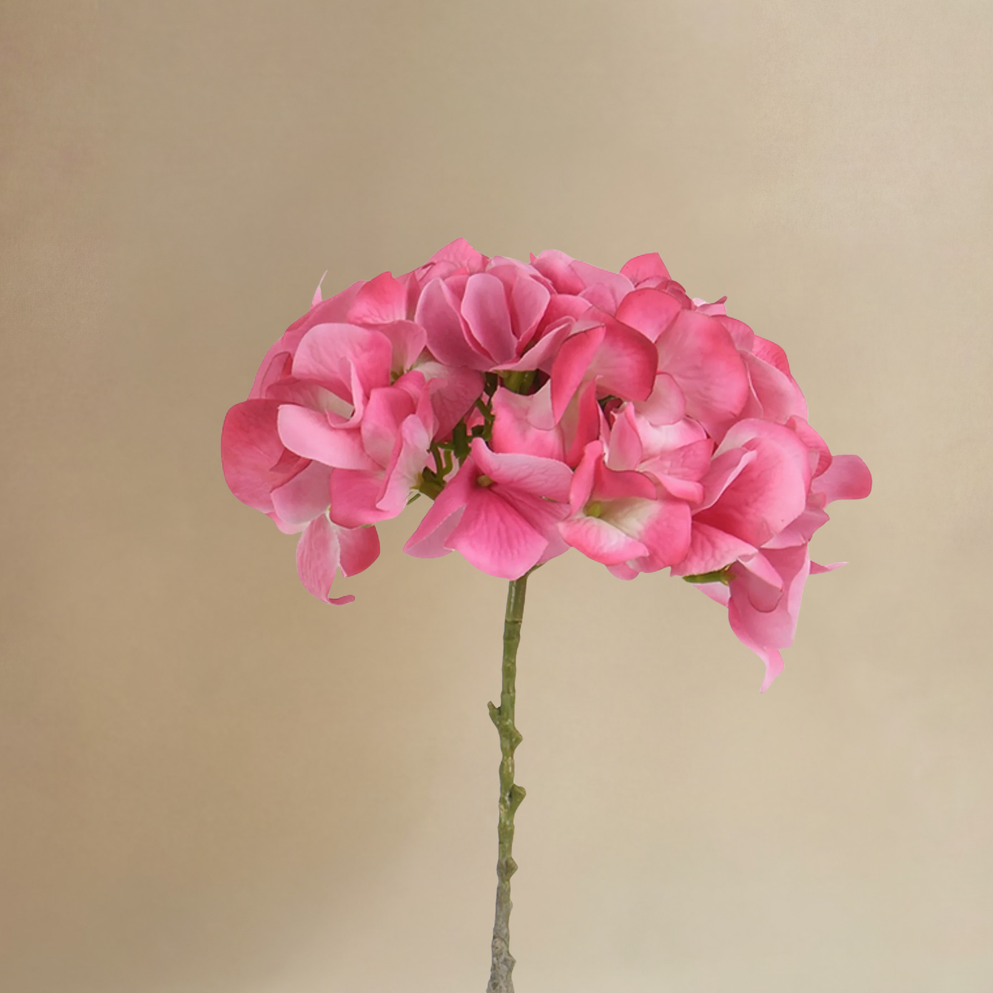 Sia Home Hortensia 63 cm bouquet artificiel rose