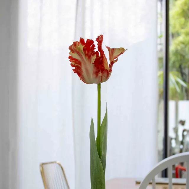 Flowrette Tulipe perroquet orange fleur artificielle x1 Real Touch