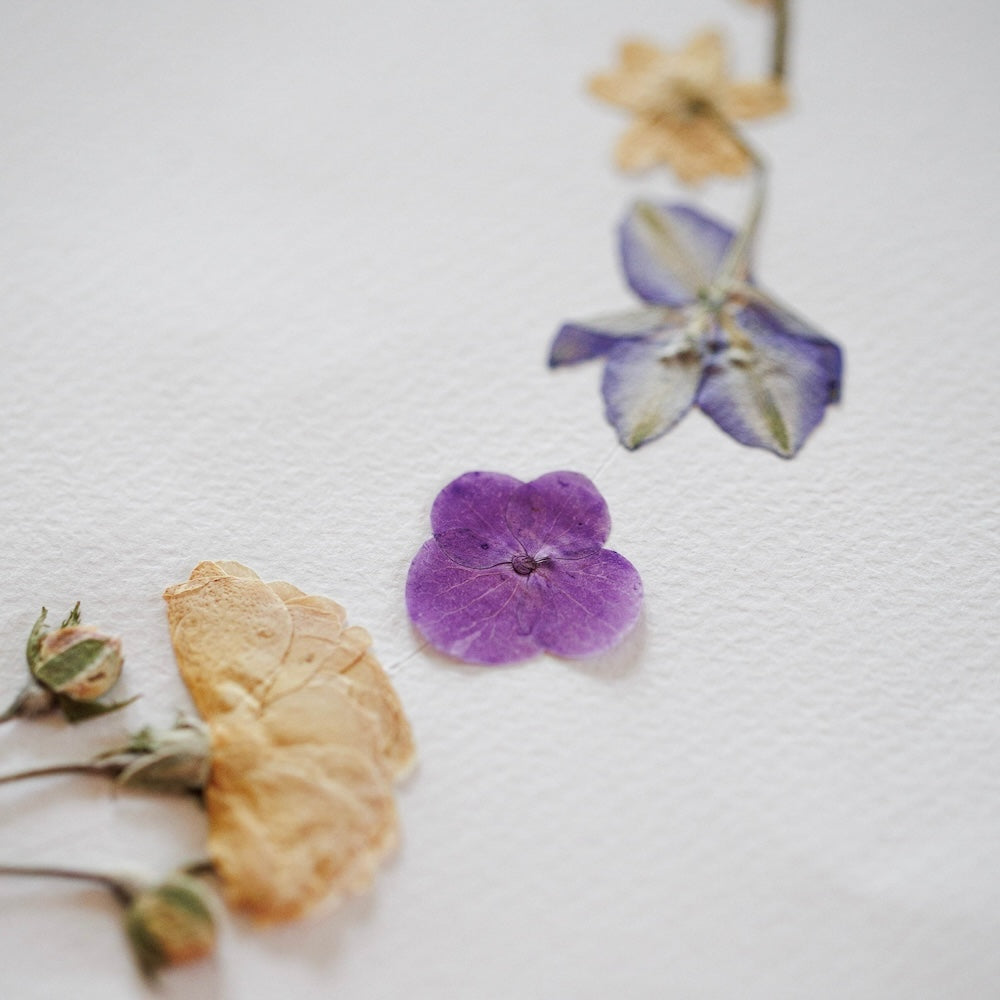 Flowrette Herbier Ronde Printanière A3 fleurs séchées