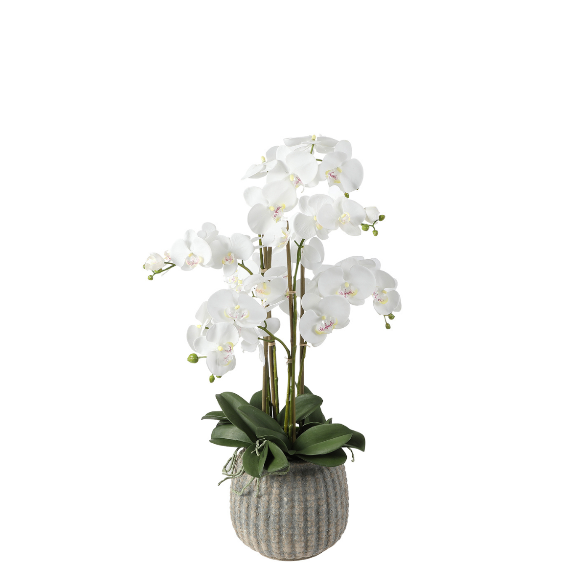 Sia Home Orchidée artificielle blanche 75 cm vase gris