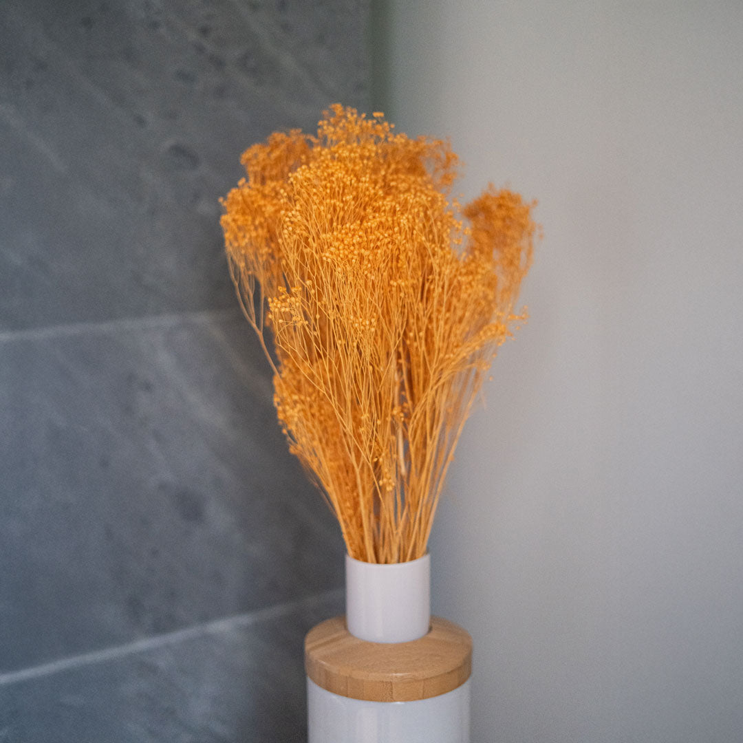 Flowrette Broom Bloom Terracotta fleurs séchées botte x1 cuivre