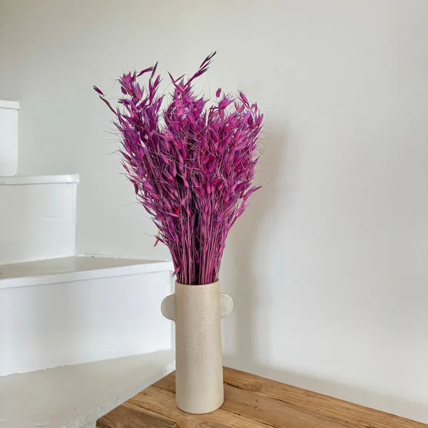 Flowrette Fleurs séchées Avoine violette botte