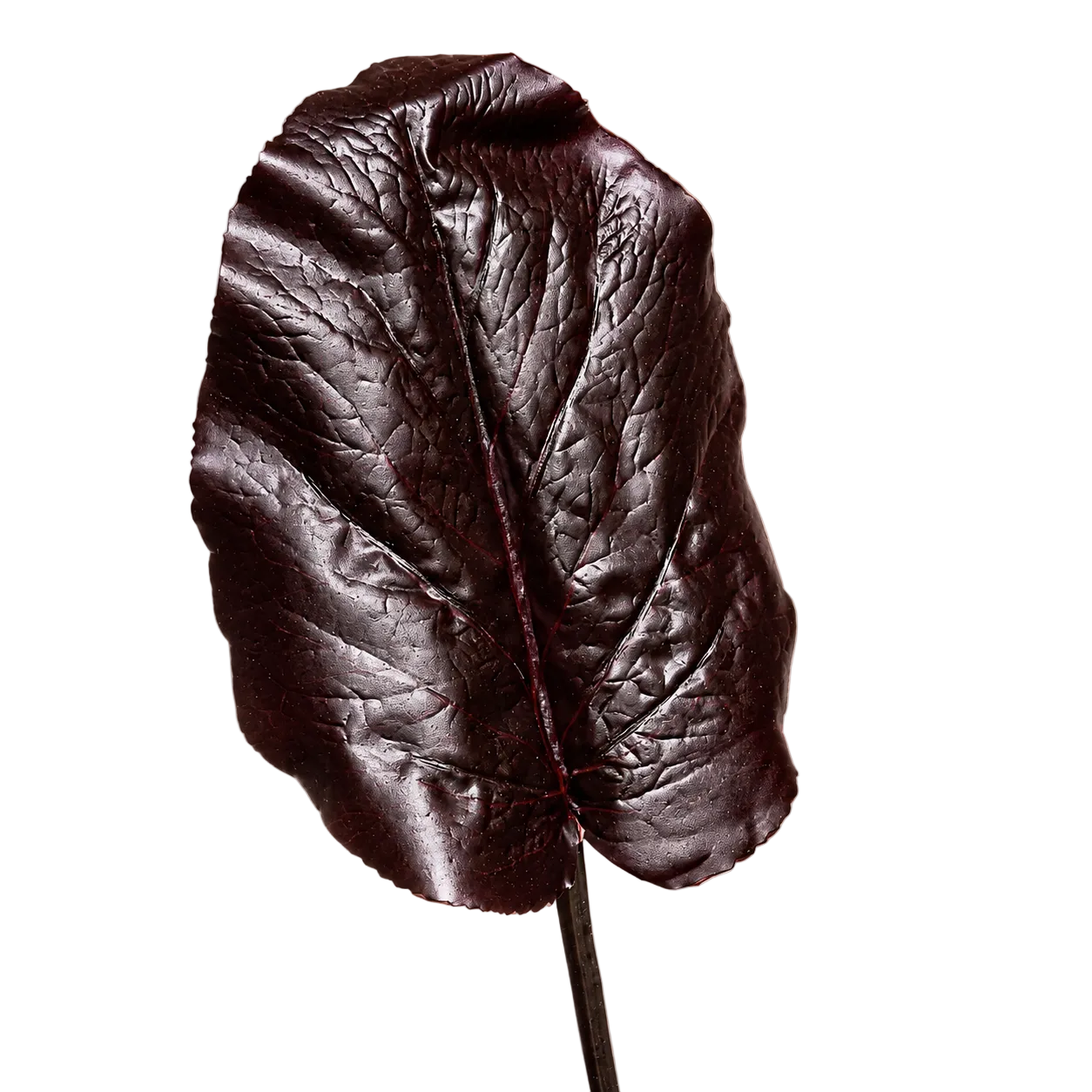 Sia Home Galax feuille artificielle bordeaux 85 cm