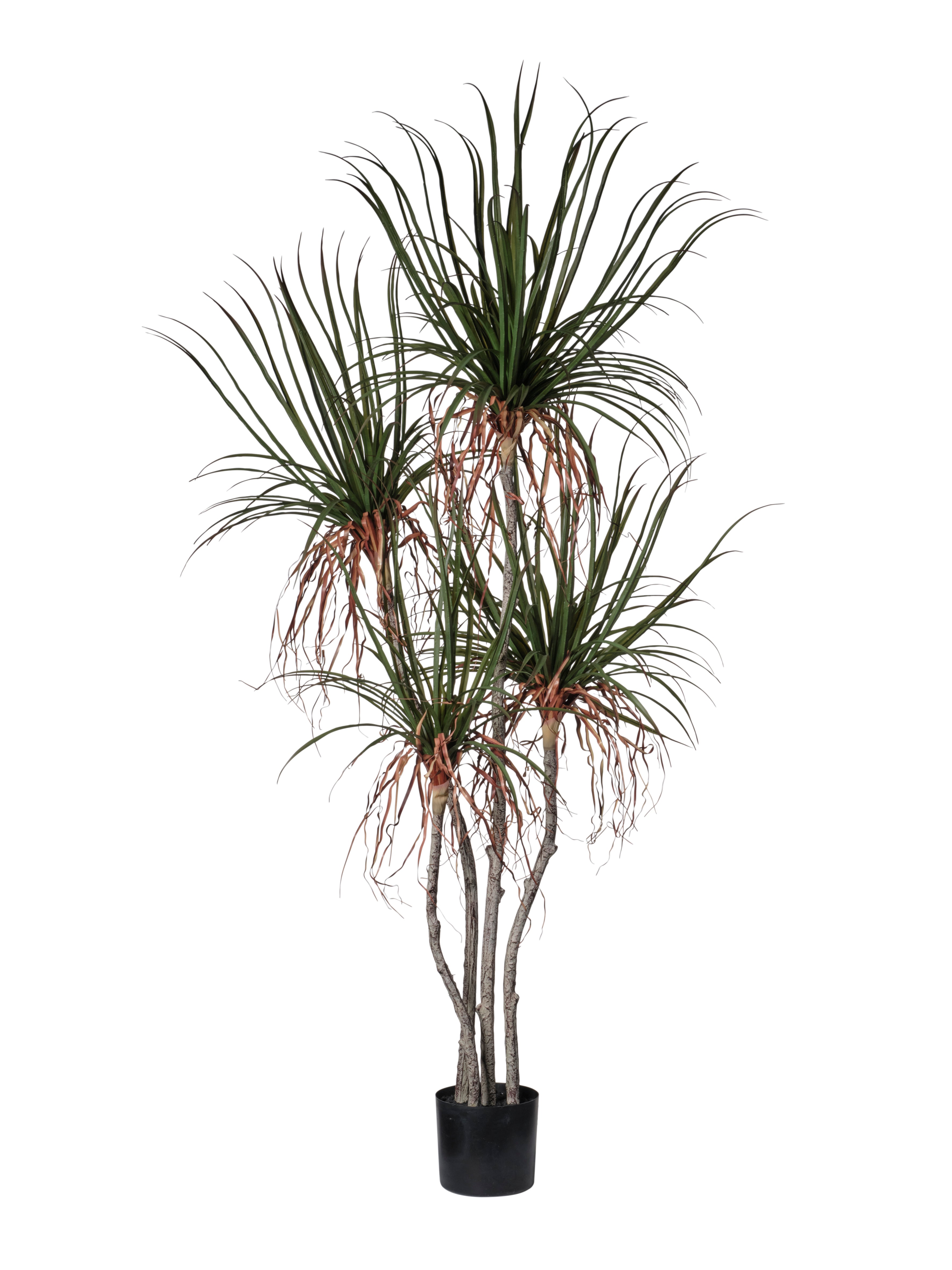 Feuillazur Rungis Dragonier artificiel 75cm vert