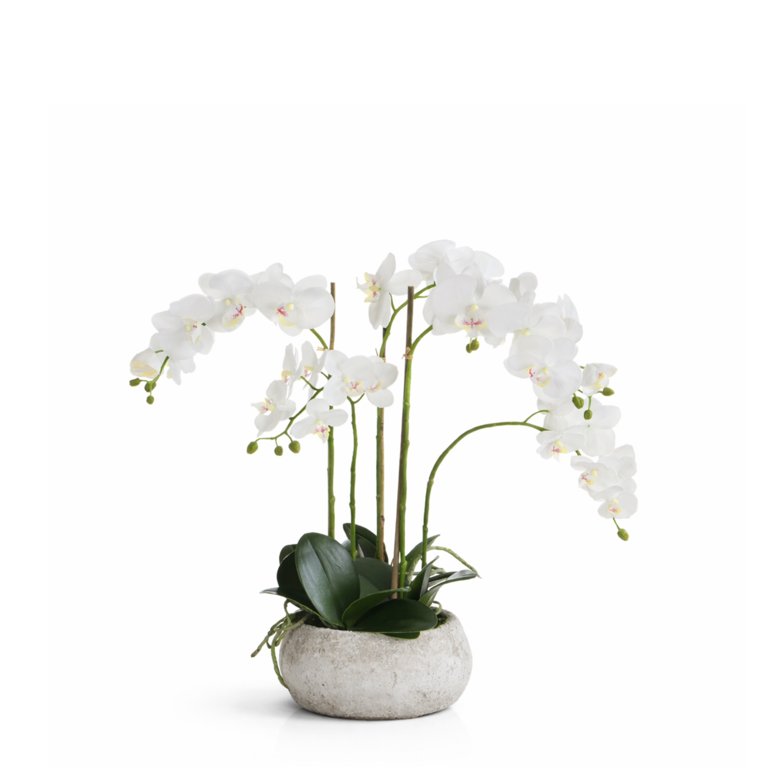 Sia Home Séréna orchidée artificielle blanc 60 cm pot