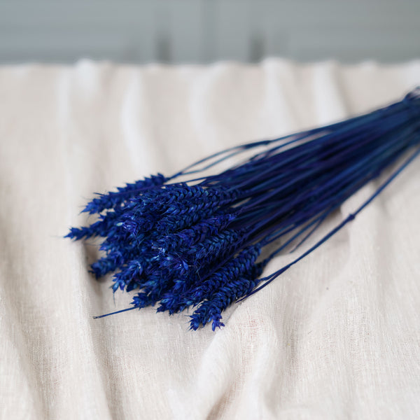 Flowrette blé bleu intense botte fleurs séchées bleues