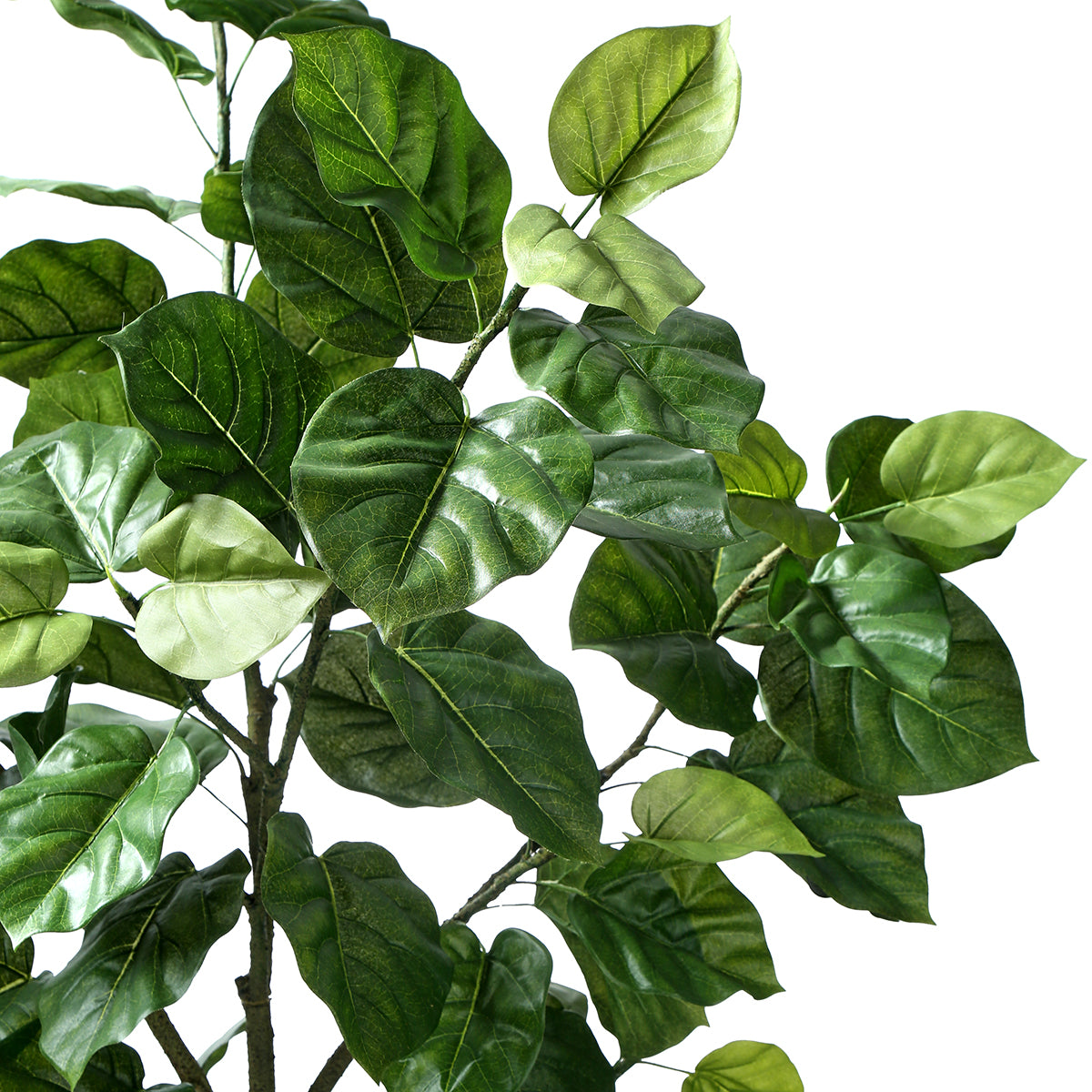 Sia Home ficus parapluie arbre artificiel vert 210 cm en pot