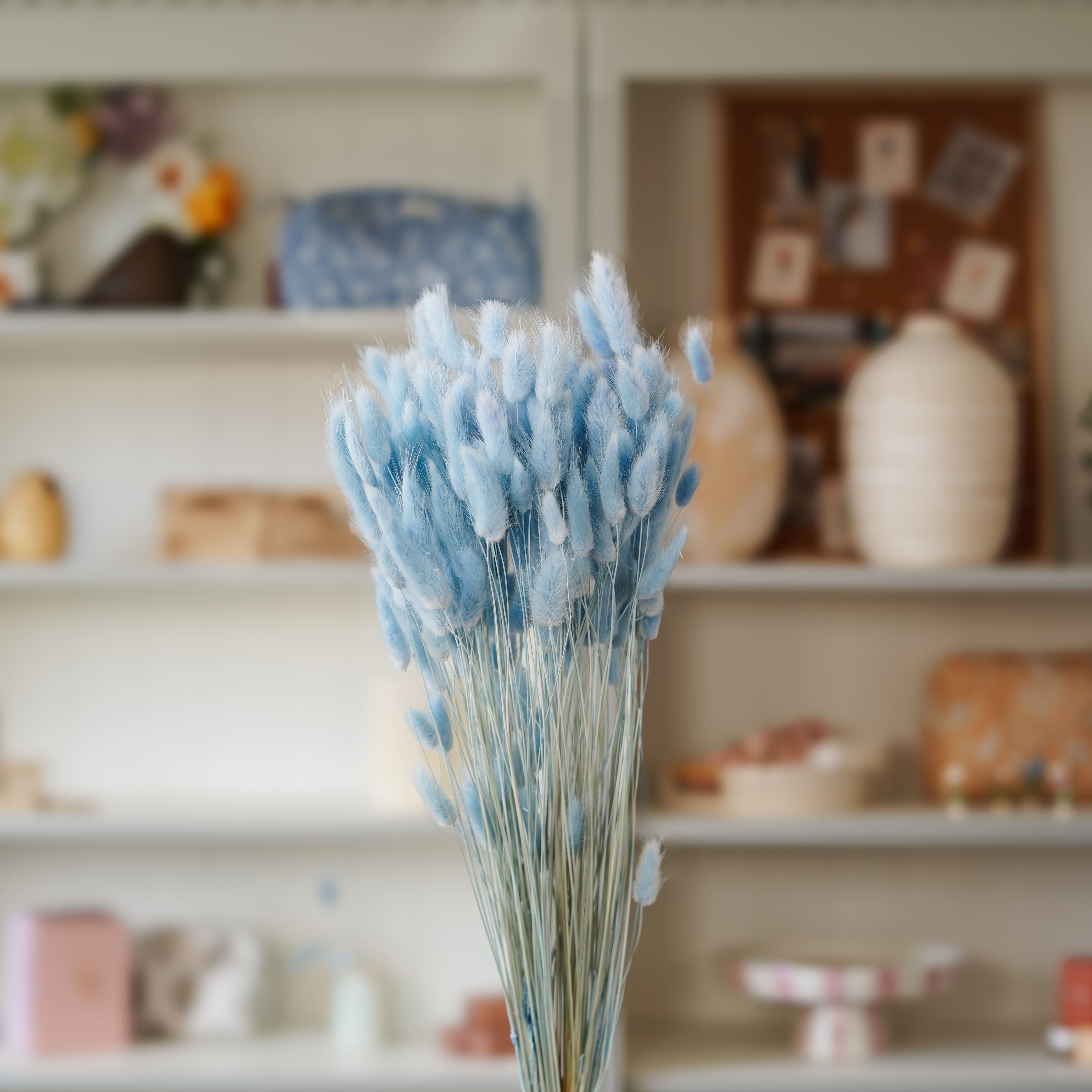 Flowrette Lagurus bleu pastel botte fleurs séchées x1