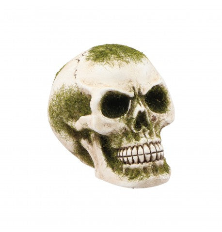 Feuillazur Rungis Produits de saison crâne résine mousse déco halloween