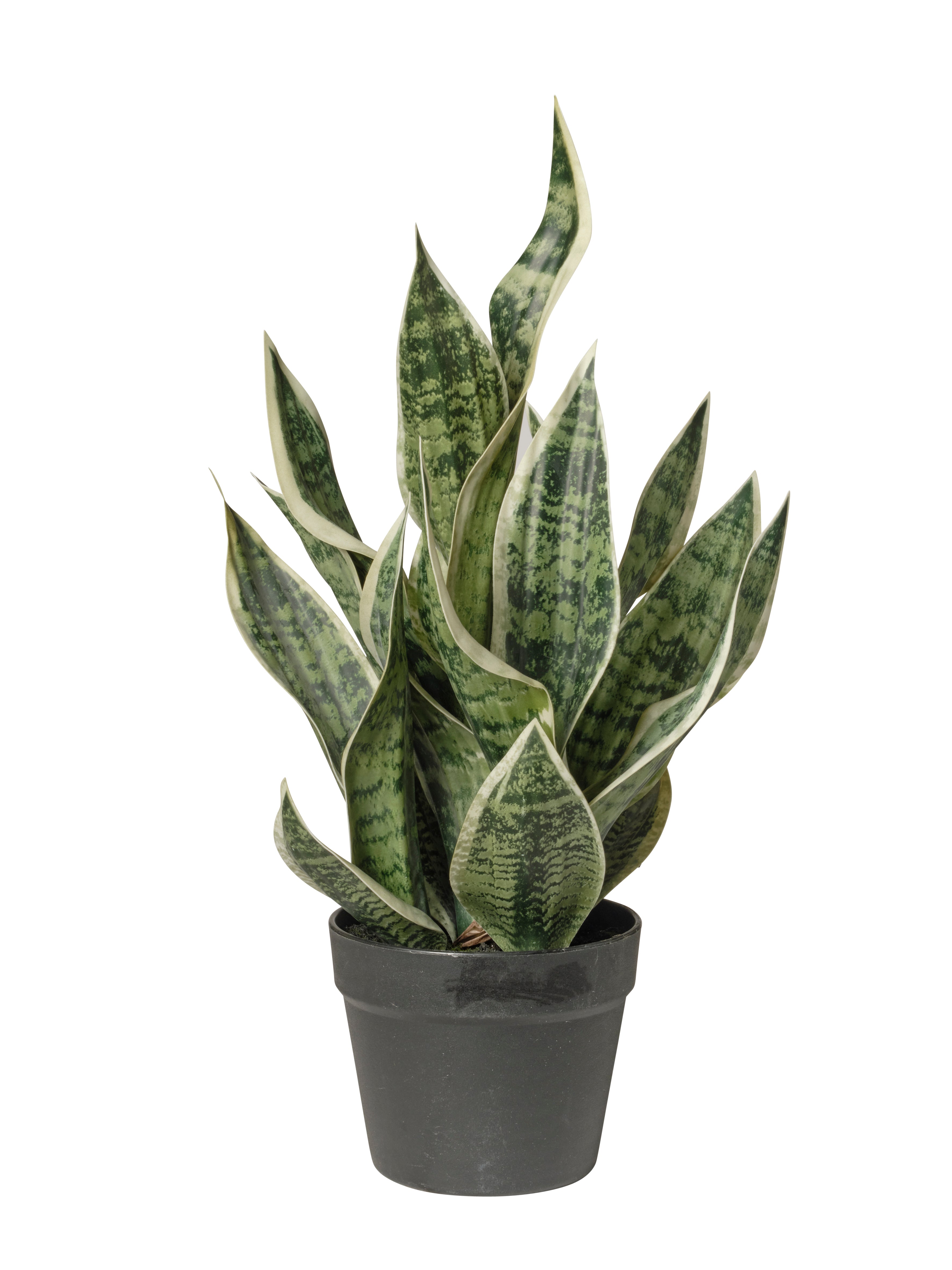 Feuillazur Dracaena plante artificielle vert 81cm