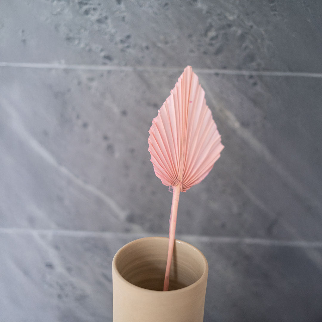 Flowrette Palme rose fleur séchée x5 bohème