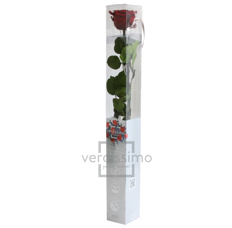 Feuillazur Rungis Séchés et Stabilisés rose stabilisée rouge 54 cm
