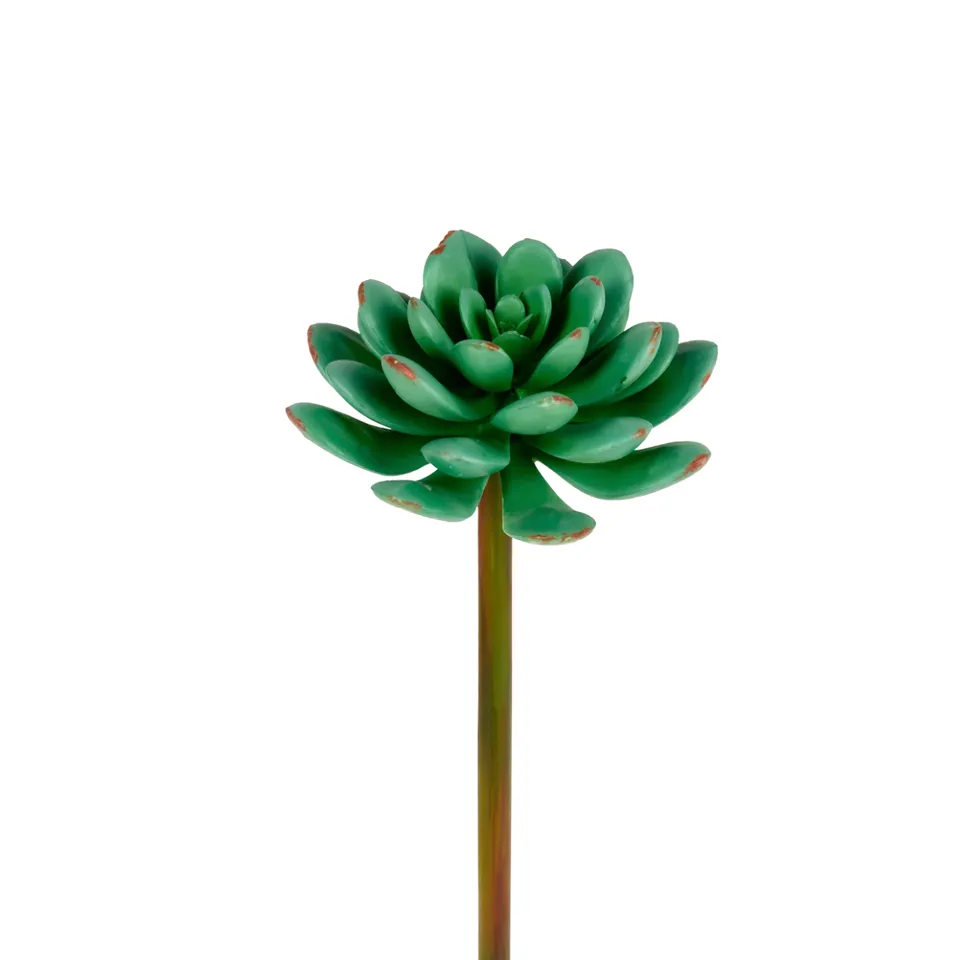Sia Home Echeveria feuillage artificiel vert 20 cm
