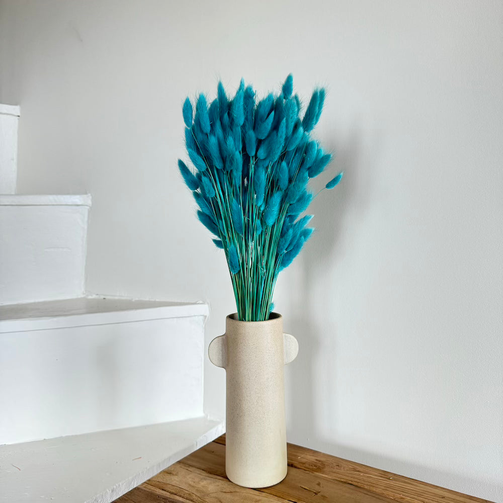 Flowrette Fleurs séchées Lagurus botte turquoise x1