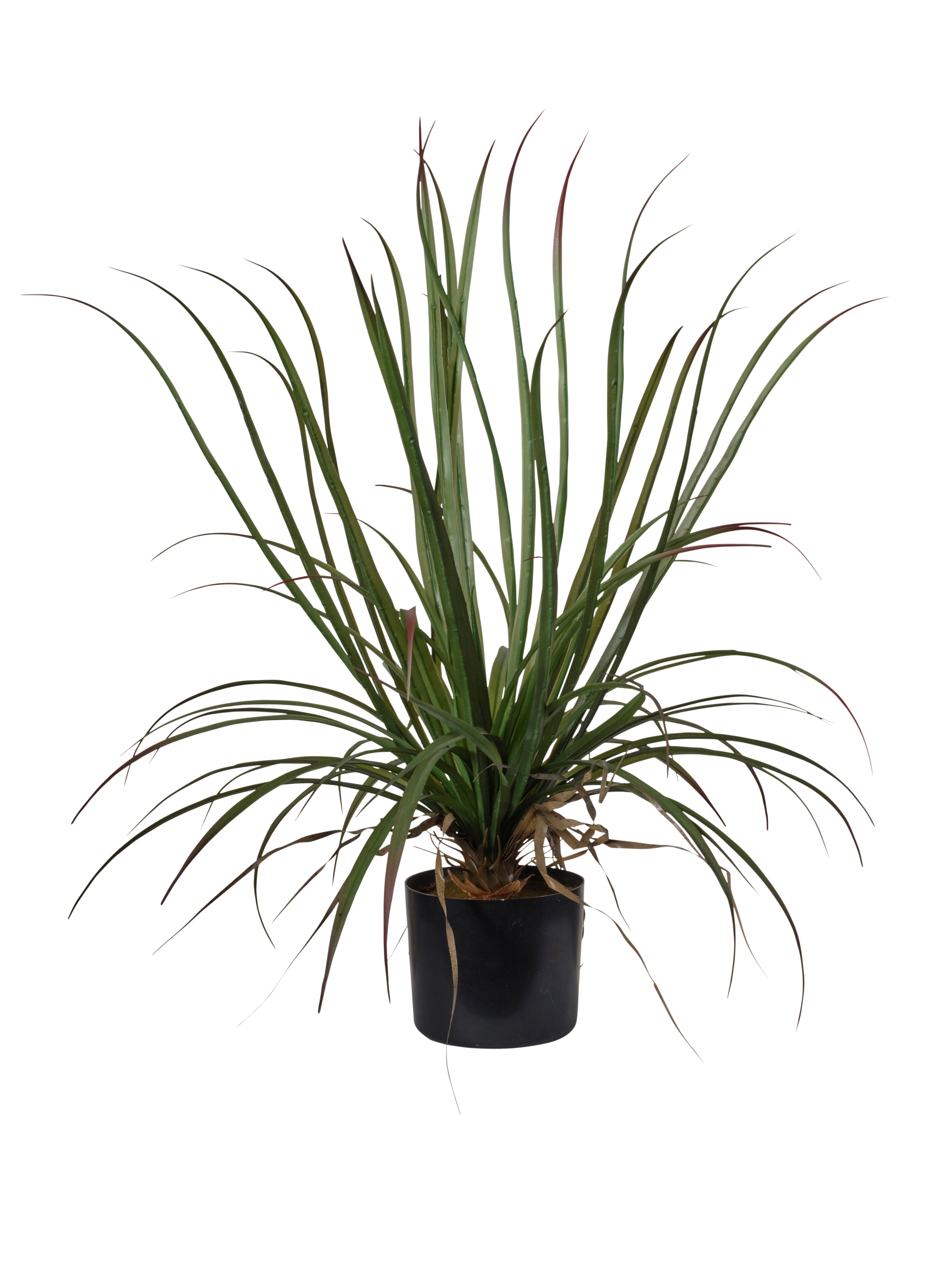 Feuillazur Rungis Dragonier artificiel 75cm vert
