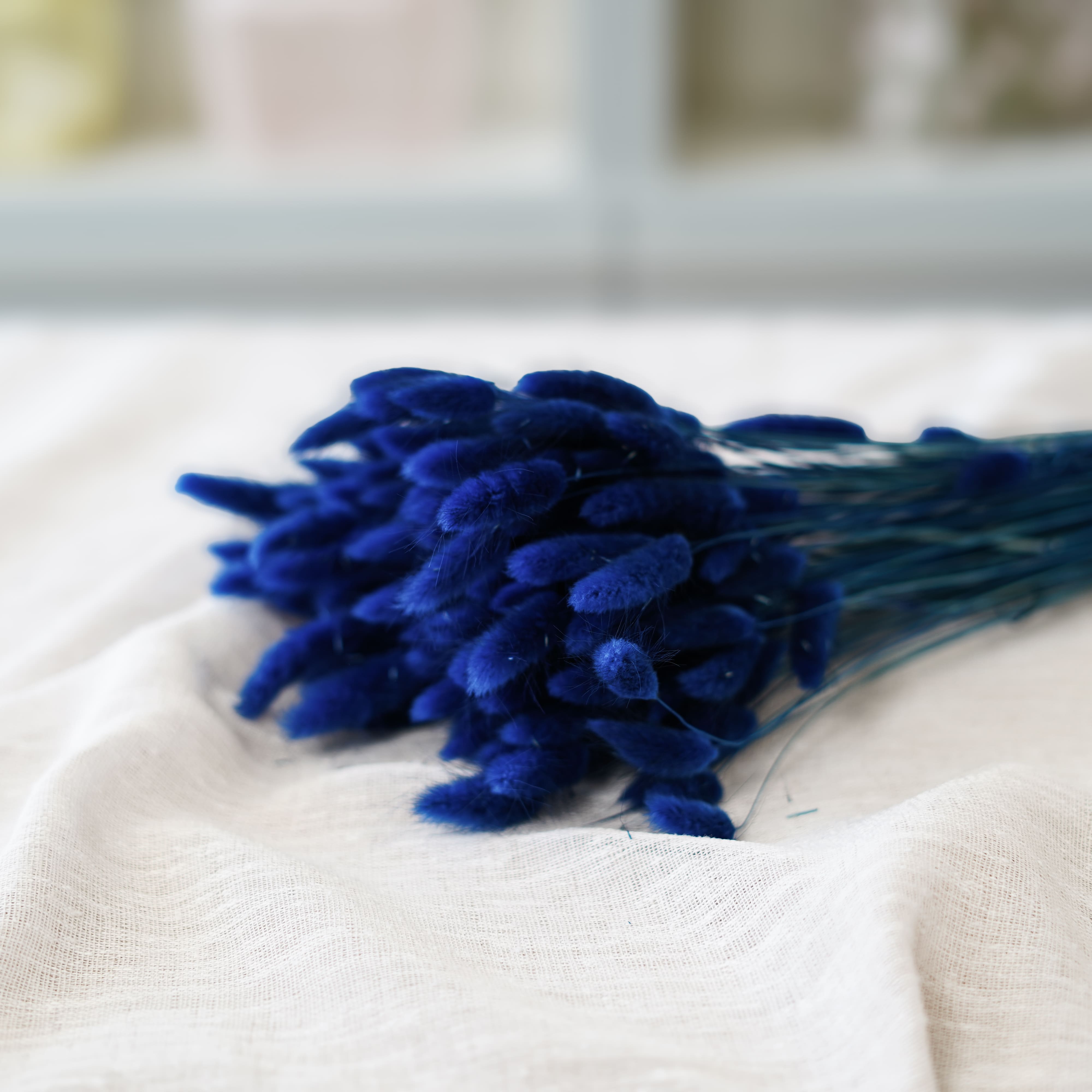 Flowrette Lagurus Bleu botte x1 queue lièvre séchée