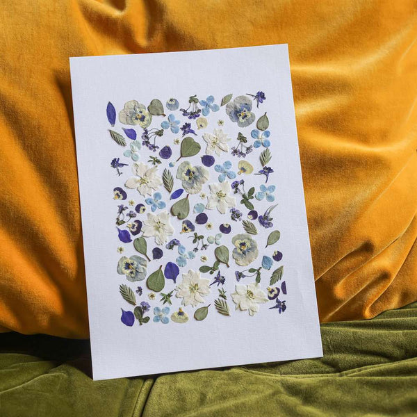 Flowrette Provençal Idyll herbier A4 fleurs séchées bleu