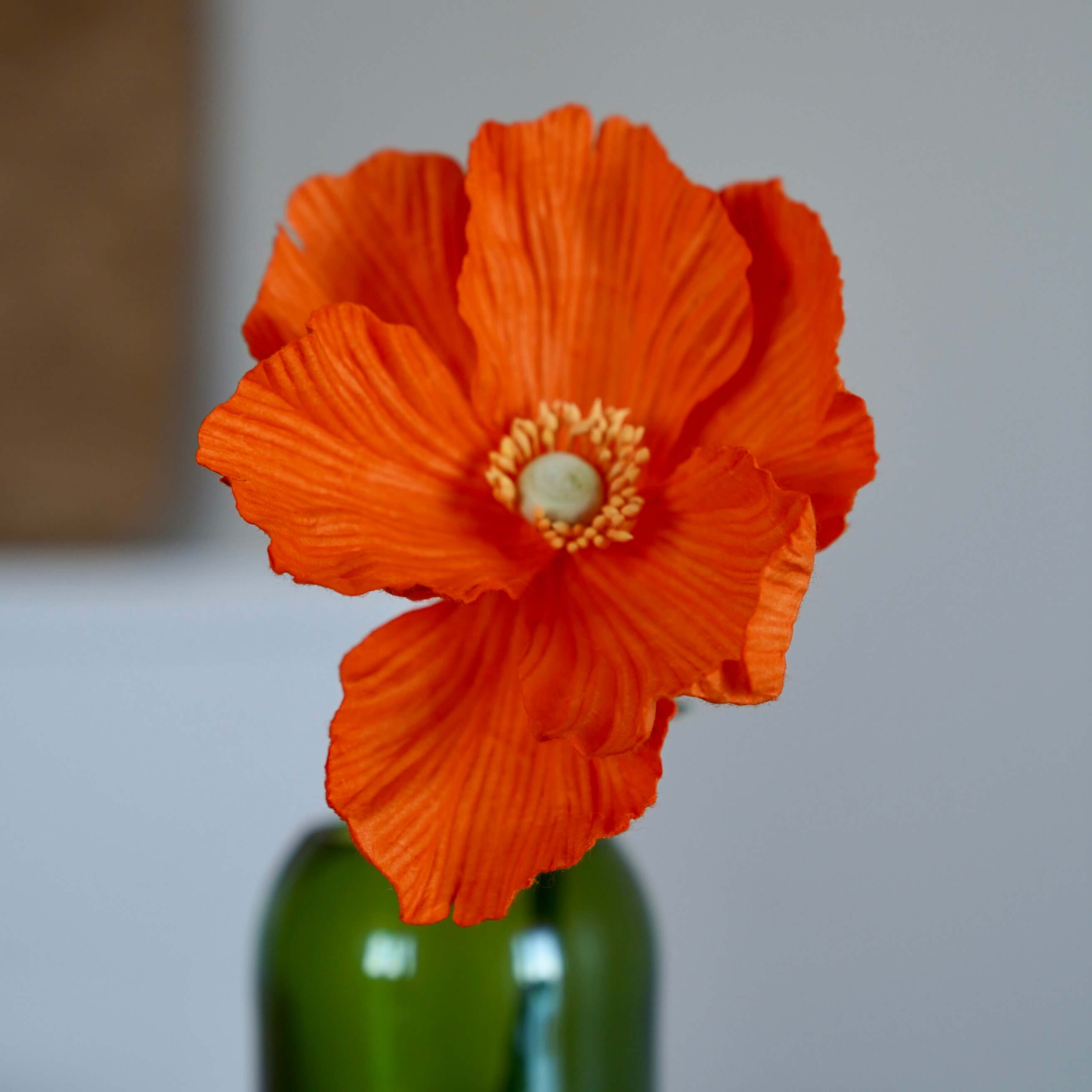 Flowrette Pavot papier orange fleur en papier x1