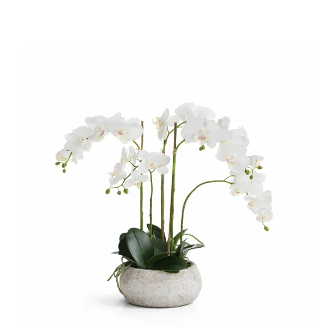 Sia Home Séréna orchidée artificielle blanc 60 cm pot