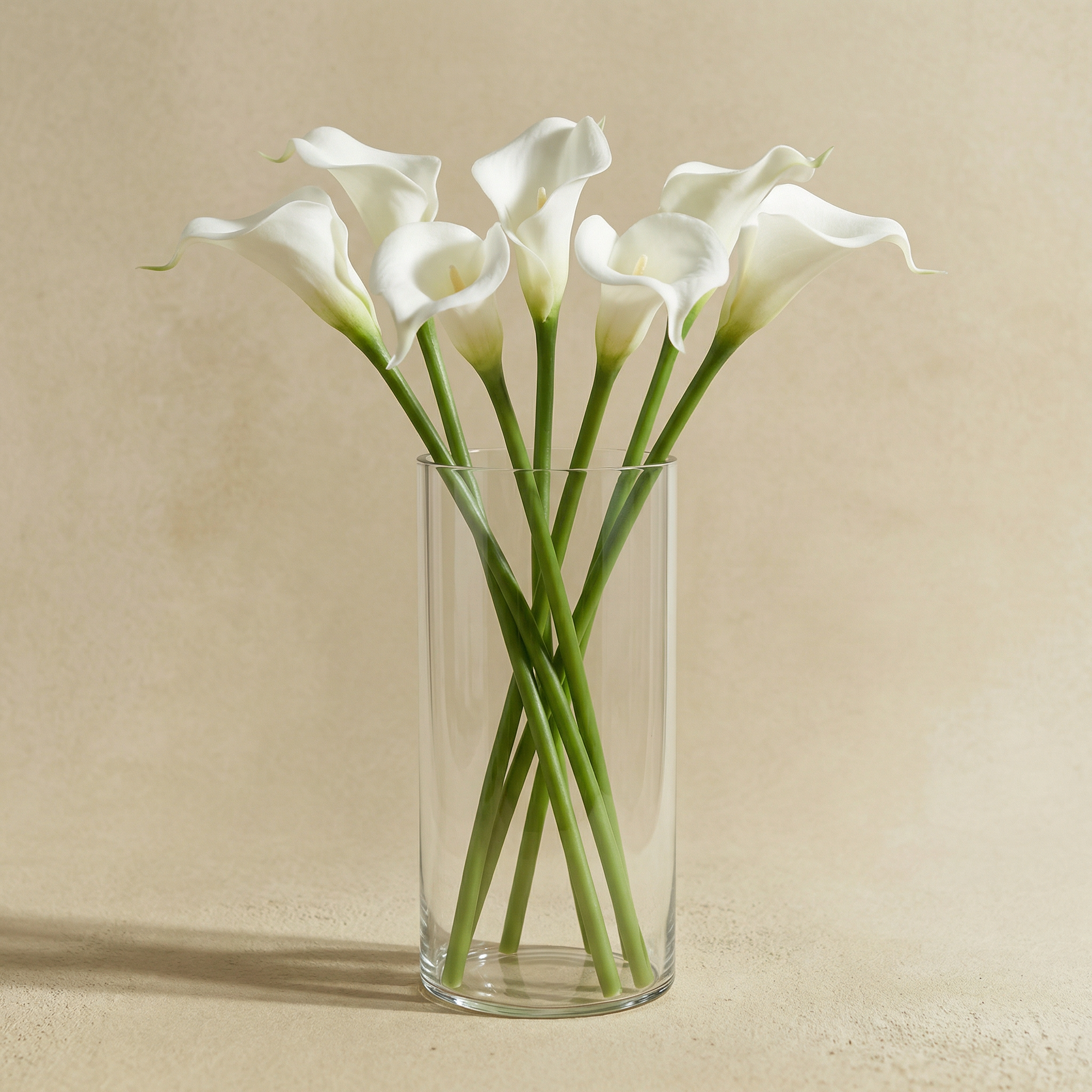 Sia Home Halo photophore transparent 20 cm verre 2-en-1
