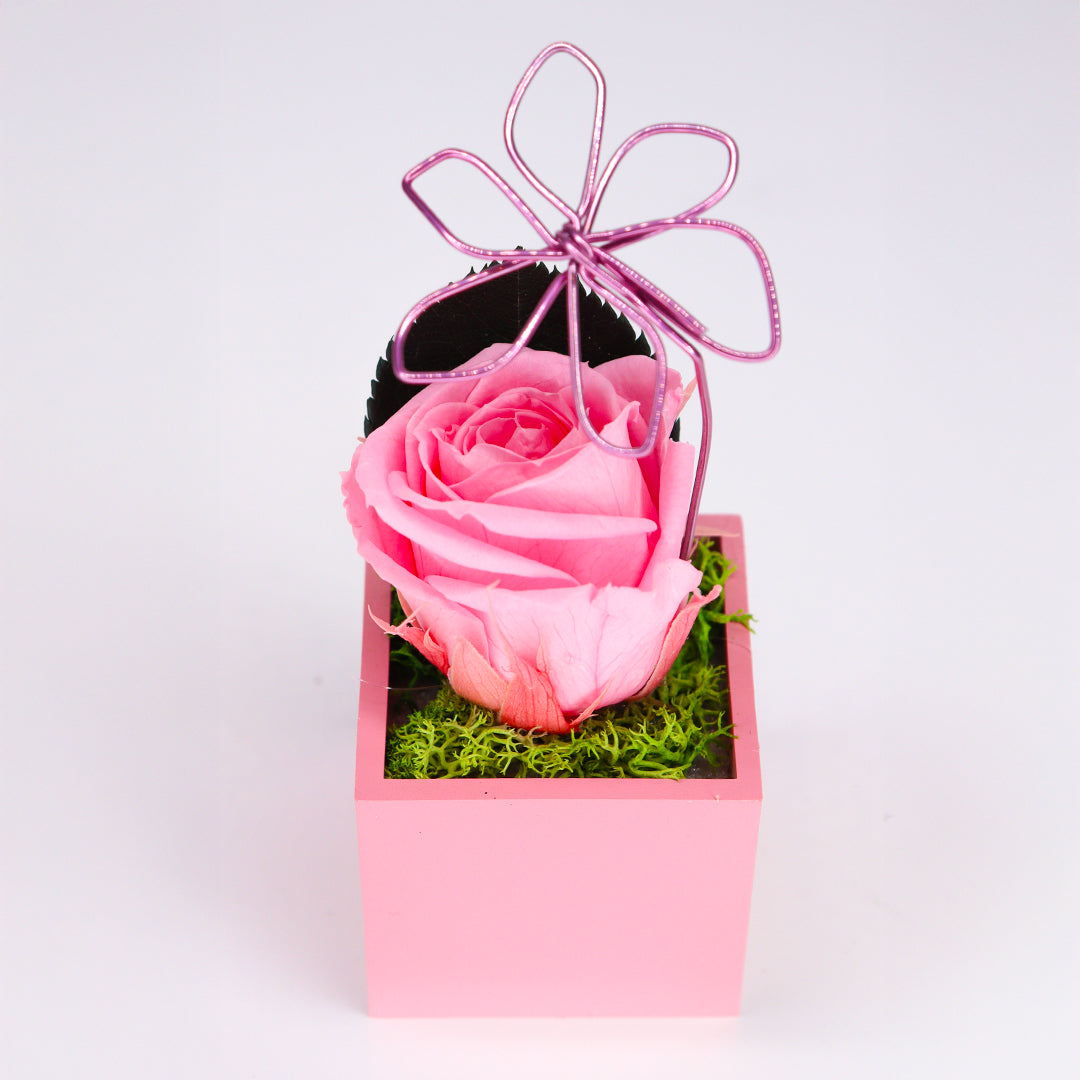 Ateliers Ouchamp Roses rose stabilisée aimant bleu