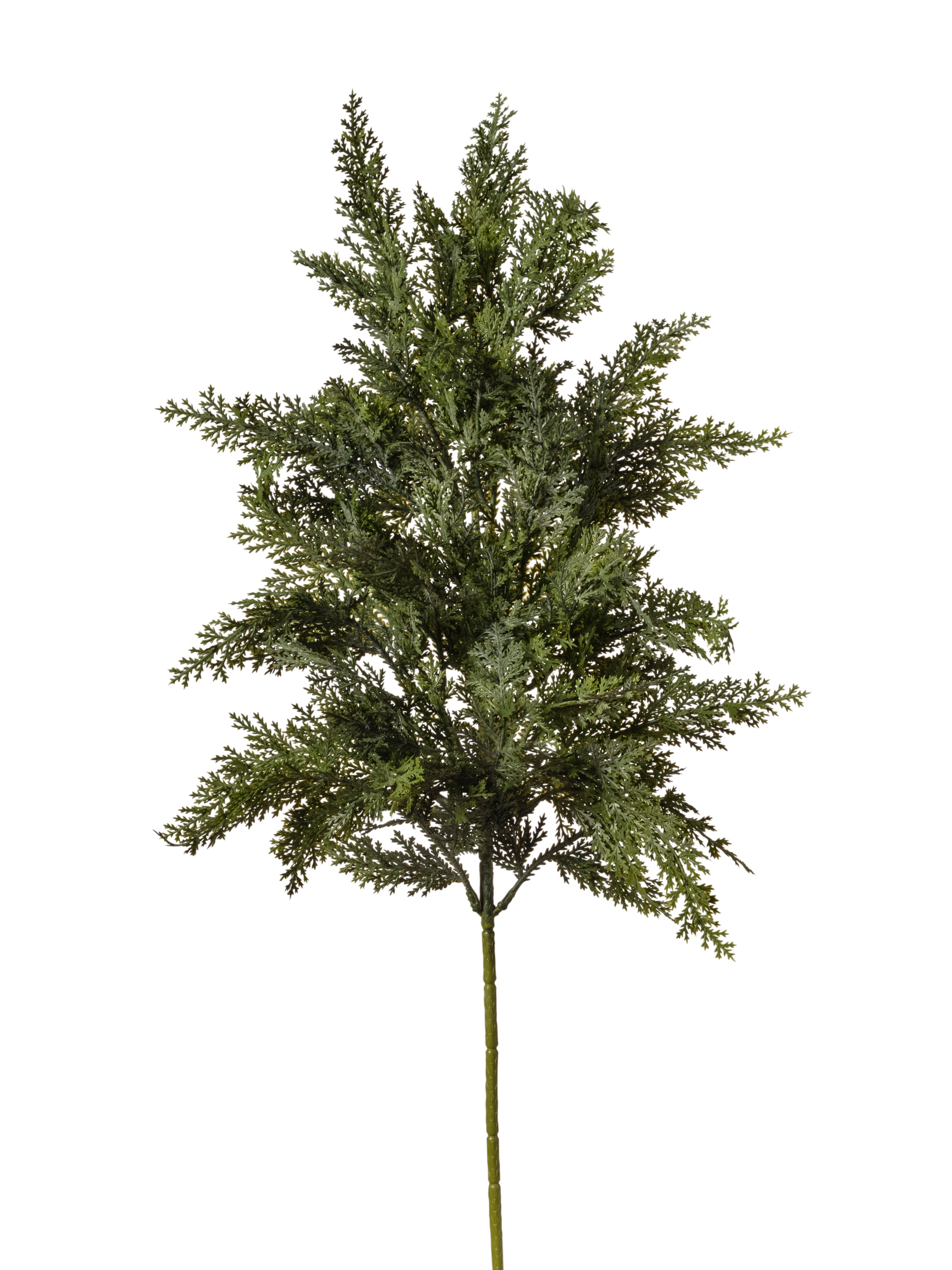 Feuillazur Rungis Produits de saison branche cyprès 093 vert 70cm