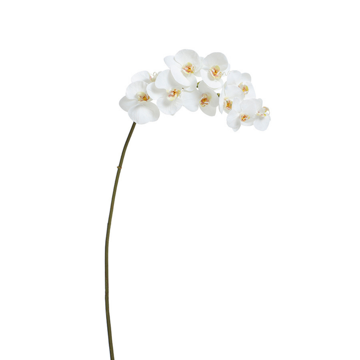 Sia tige orchidée artificielle blanche 100 cm premium