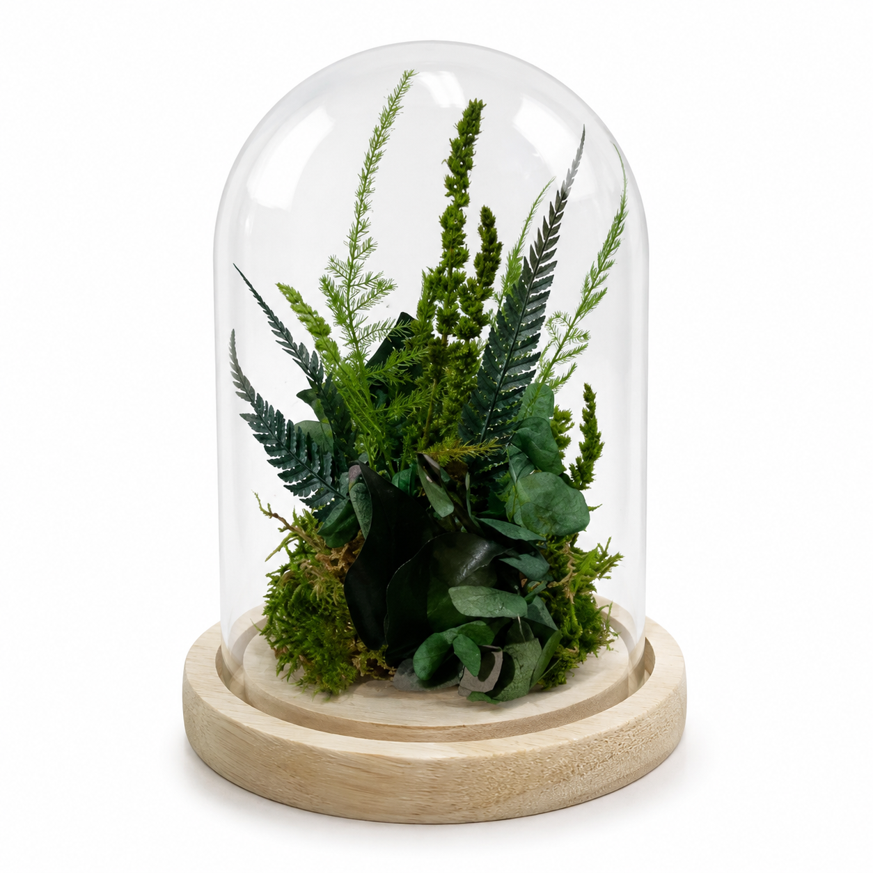 Ateliers Ouchamp Rue du Four cloche végétale S 15 cm