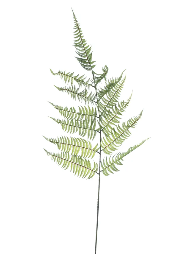 Feuillazur Rungis Branche de fer feuillage artificiel Vert 165cm