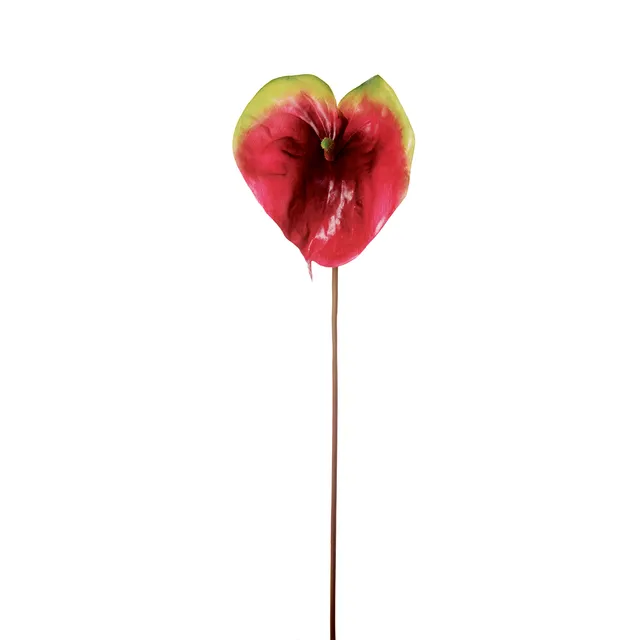 Sia Home Vera tige anthurium artificiel rouge 83 cm
