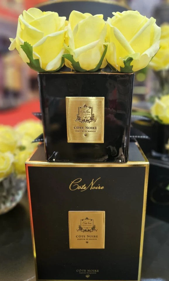Côte Noire Couture SVB908 9 boutons roses jaunes verre noir