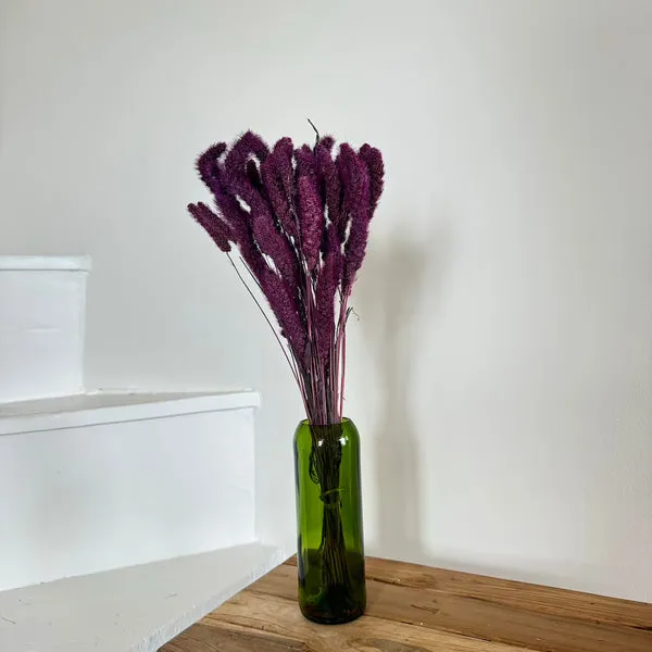 Flowrette Fleurs séchées botte sétaire violet